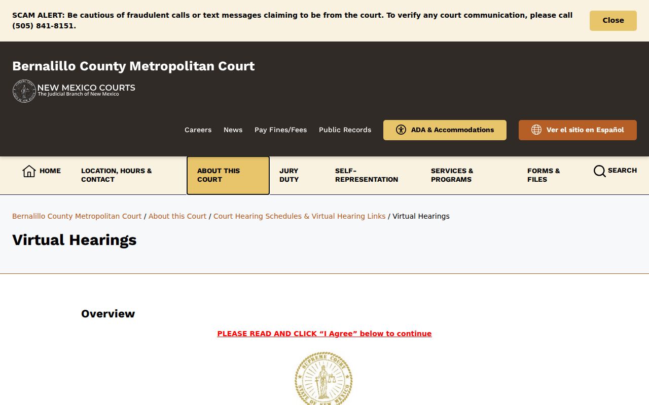 Bernalillo County criminal docket Metro virtual hearing information